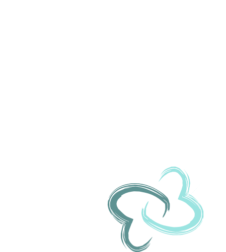 Website laten maken Zwolle